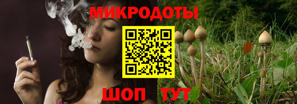 Псилоцибиновые грибы Magic Shrooms  Вход с VPN  Каспийск  Галлюциногенные грибы Psilocybe 